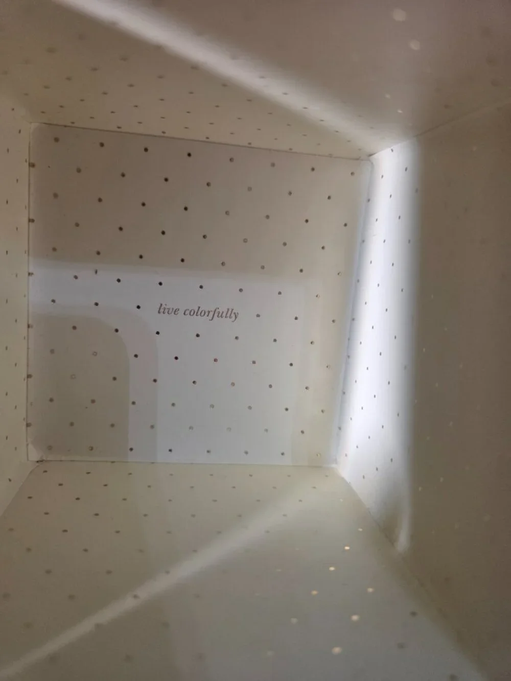 EMPTY Kate Spade Watch Box (2) Pillow Storage - Picture 5 of 11